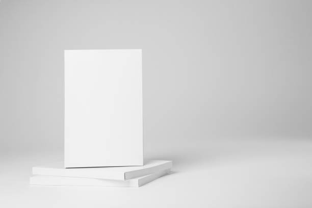 istock Real paperback white books on a gray background 654443580