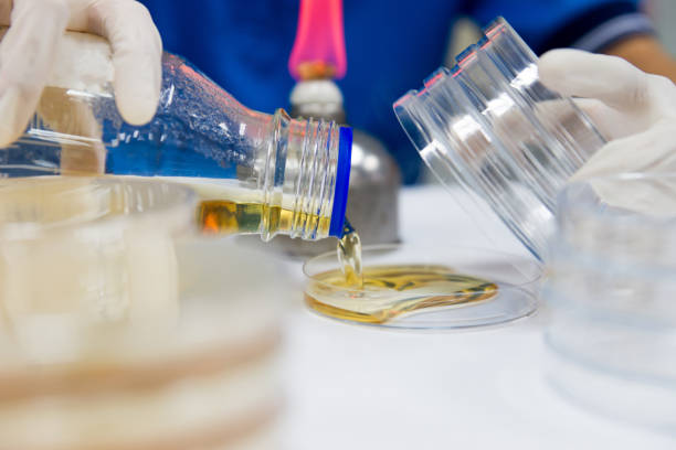 istock The Pour Plate method where in the sample is suspended in a petri dish 654449194