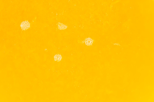 Closeup of an orange juice