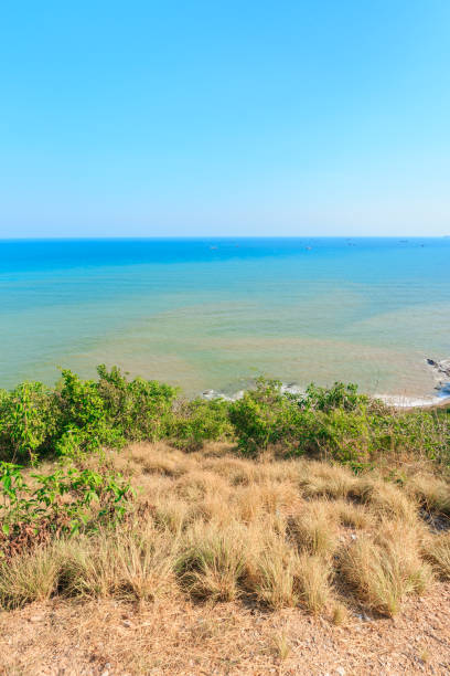istock tropical sea and jungle 654471914