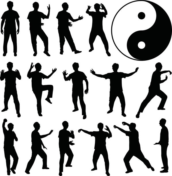 martial art kung fu samoobrony w silhouette vector - kung fu stock illustrations