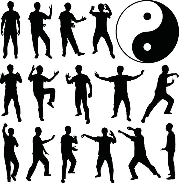 ilustrações, clipart, desenhos animados e ícones de martial art kung fu self defense em silhueta vector - chi energy