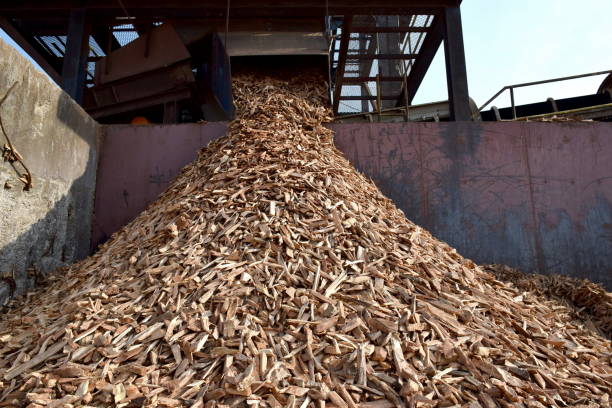 istock chip of wood 654475264