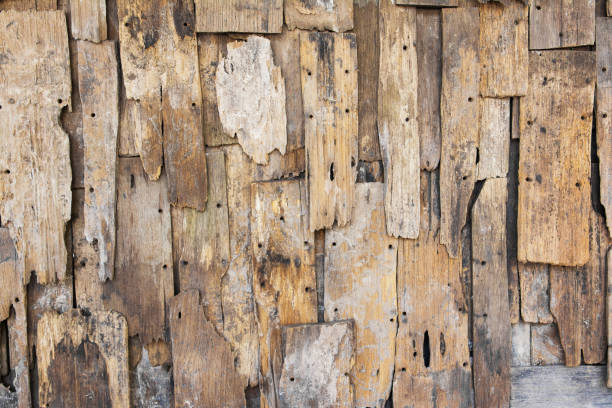 istock Wood background texture.Old wood background texture 654480298