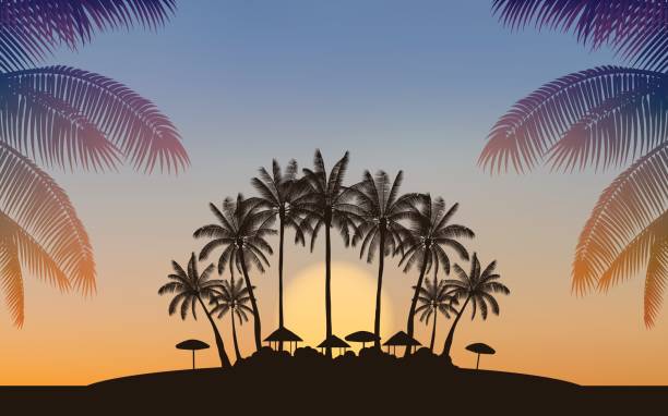 Silhouette palm tree on beach with sunset sky Silhouette palm tree on beach under sunset sky background (vector) phuket beach party stock illustrations