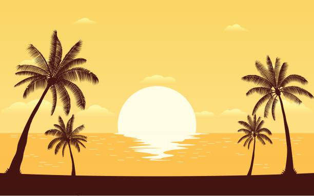 ilustraciones, imágenes clip art, dibujos animados e iconos de stock de palmeras de silueta en la playa con puesta de sol cielo - beach