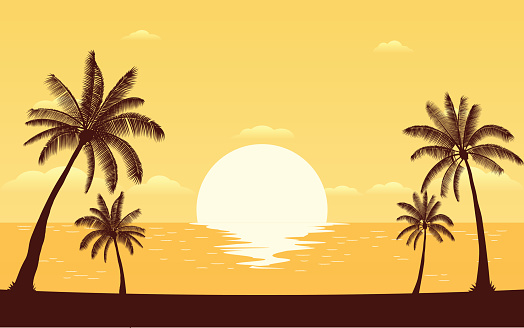 Silhouette palm tree on beach under sunset sky background (vector)