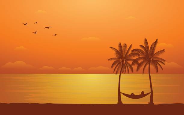 silhouette palme und frau schlafen in hängematte - women hawaii islands beach beauty in nature stock-grafiken, -clipart, -cartoons und -symbole