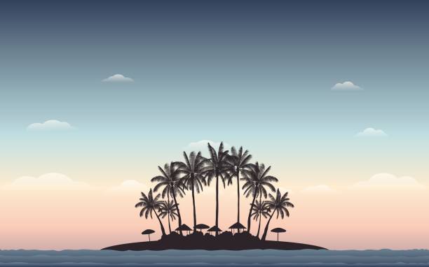 Silhouette palm tree on beach with sunset sky Silhouette palm tree on beach under sunset sky background (vector) phuket beach party stock illustrations