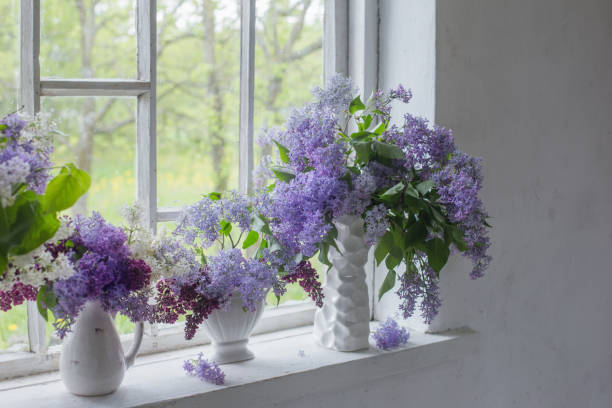 istock blooming branch of lilac at the window 654513802