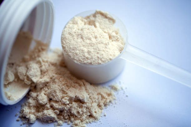 polvo de proteína de vainilla en primicia sobre fondo blanco - protein concentrate fotografías e imágenes de stock