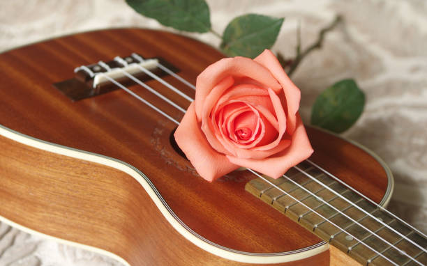 istock Rose on ukulele, Love, Valentines concept. 654543704