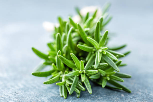 istock Fresh rosemary twigs 654547118