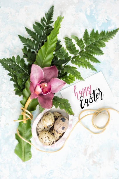 Easter background with eggs, orchid, fern and greeting card stock photo