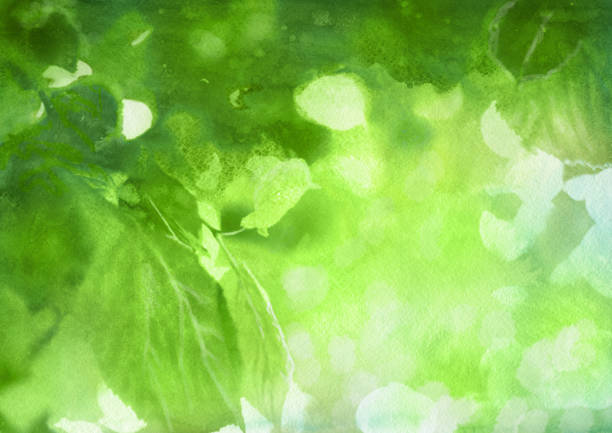 illustrations, cliparts, dessins animés et icônes de feuillage de printemps aquarelle - full frame leaf lush foliage backgrounds