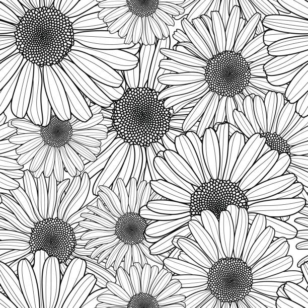 Vector floral seamless pattern. Black and white background with outline hand drawn chamomile flowers. Vector floral seamless pattern. Black and white background with outline hand drawn chamomile flowers. Spring design for fabric, textile print, wrapping paper or web backgrounds. daisy chain drawing stock illustrations