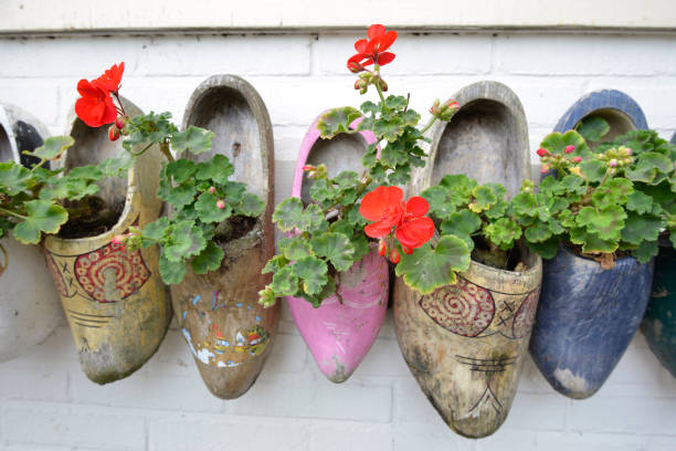 istock Wooden shoes 654578172
