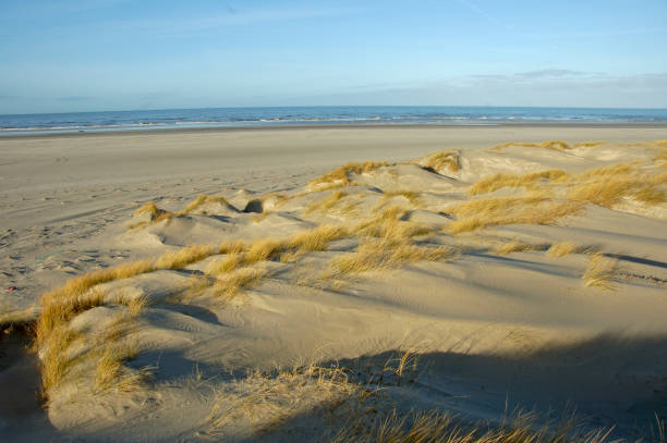 istock Dunes, Vlieland the Netherlands 654581256