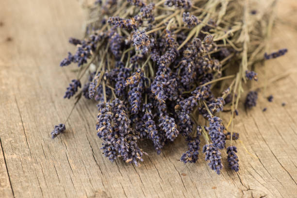 istock Bundle of lavender on rustic wooden background 654581320