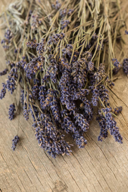 istock Bundle of lavender on rustic wooden background 654581350