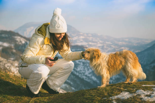 istock playful woman with dog 654597234