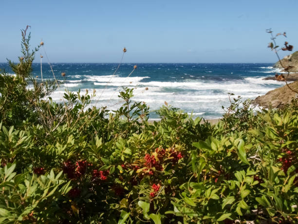 coastal landscape and beaches of Cap Corse Cap Corse, France: coastal landscape and beaches of Cap Corse mistral wind stock pictures, royalty-free photos & images