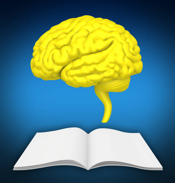istock The brain is close-up on book. It symbolizes knowledge of new ideas 654600692