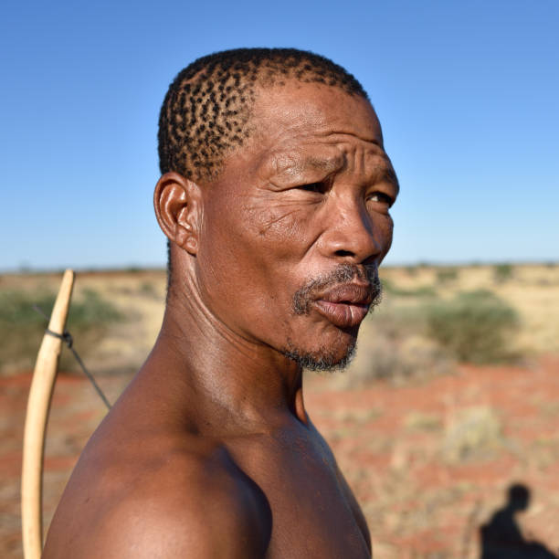 cazador de retrato bushman, namibia - bushman fotografías e imágenes de stock