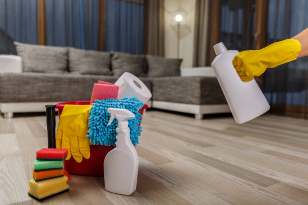 istock Cleaning service. Sponges, chemicals and plunger. 654617734