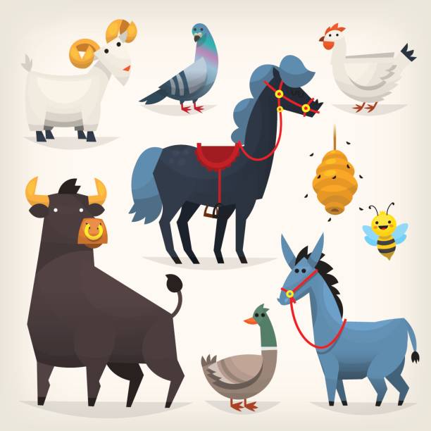 19,151 Cartoon Bull Illustrations & Clip Art - iStock | Cow, Longhorn