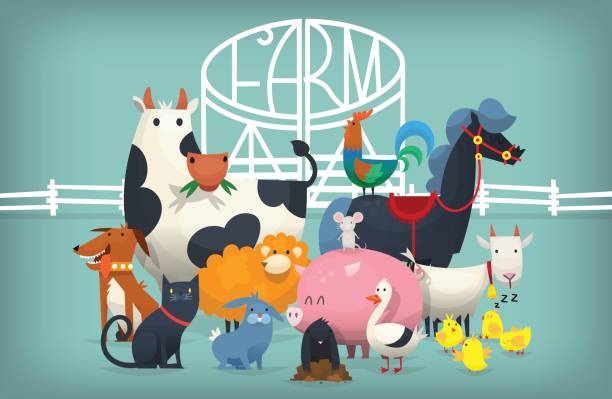 ilustrações, clipart, desenhos animados e ícones de aves e animais perto portões da fazenda - farm animal cartoon cow