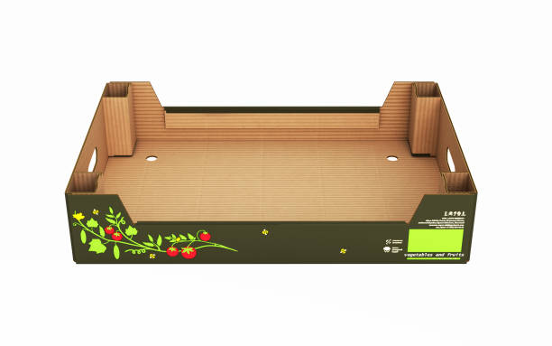 cardboard tray box for vegetables and fruit without shadow on white background 3d