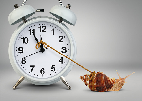 Snail pulling clock, time management concept