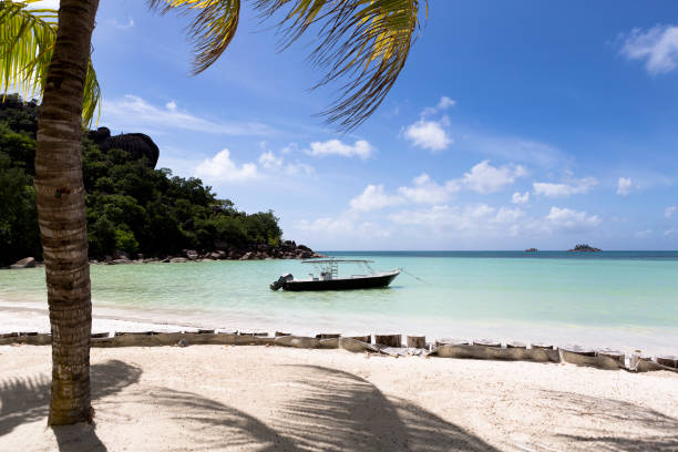 istock Tropical beach, Anse Volbert at Praslin island, Seychelles 654650536