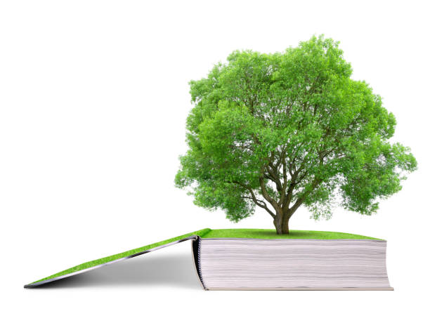 istock Book of nature with tree. 654669052