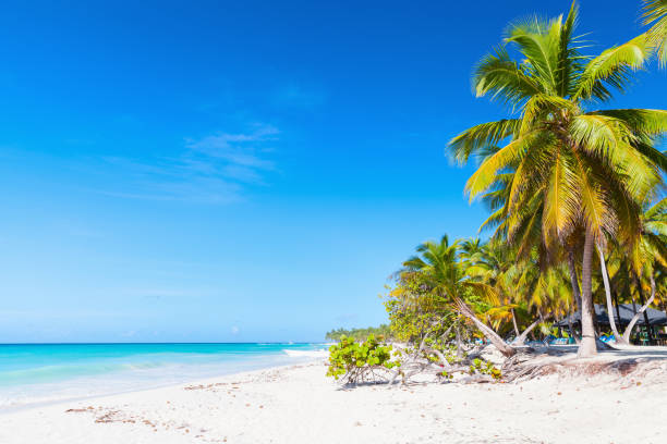 istock Saona island, popular touristic resort 654675926
