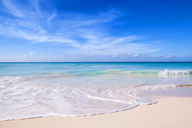 istock Dominican republic beach, Saona island 654675928