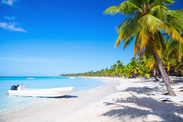 istock Coconut palms and white pleasure boat 654675956