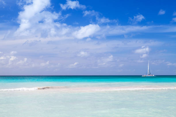 istock Sea coast, Dominican republic beach 654675960