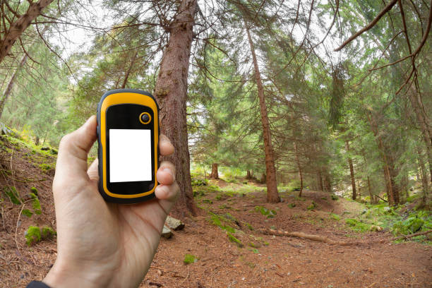 istock finding the right position in the forest via gps 654676054