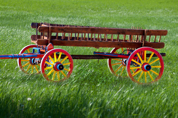 Vintage Wooden Cart in the Meadow - Traditional wooden cart stock photo