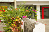 das-bougainvillea.jpg?b=1&s=170x170&k=20&c=b9bR-LT5nAfTSGsB0bHfsfFDOK-2hxvT6R54bwGLxDQ=