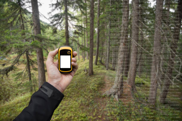 istock finding the right position in the forest via gps 654692748