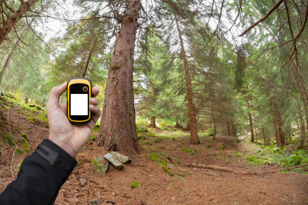 istock finding the right position in the forest via gps 654692774