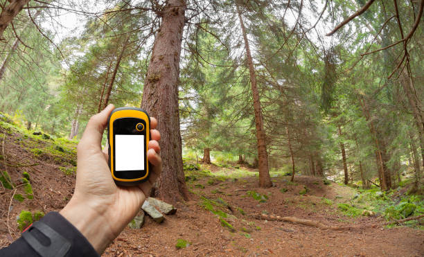 istock finding the right position in the forest via gps 654692872