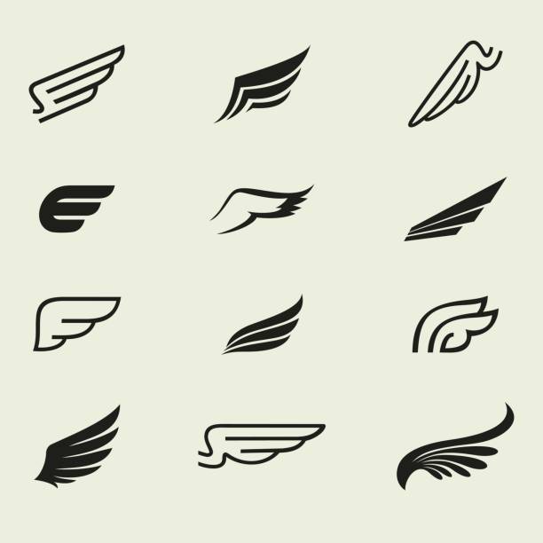Wings Wings icons vector set. Wings. Set of design elements. animal wing stock illustrations