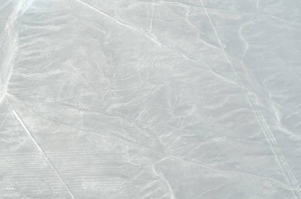 istock signs of Nazca 654694054