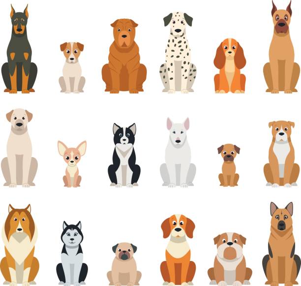 illustrations, cliparts, dessins animés et icônes de définir le vecteur chiens - chien de salon