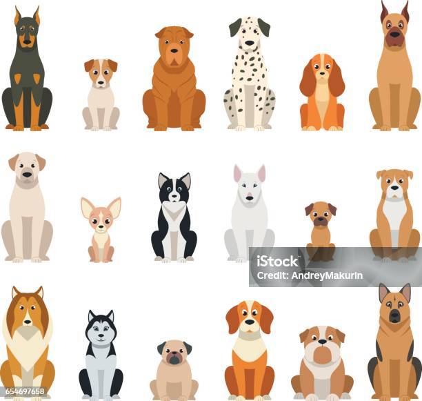 Set Vector Dogs Stock Illustration - Download Image Now - Dog, German Shepherd, Sitting