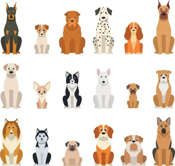 Vector illustration of Set vector dogs